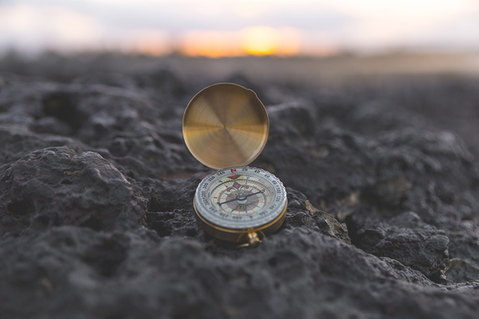 Loyalty in decline? Why insight is the answer.